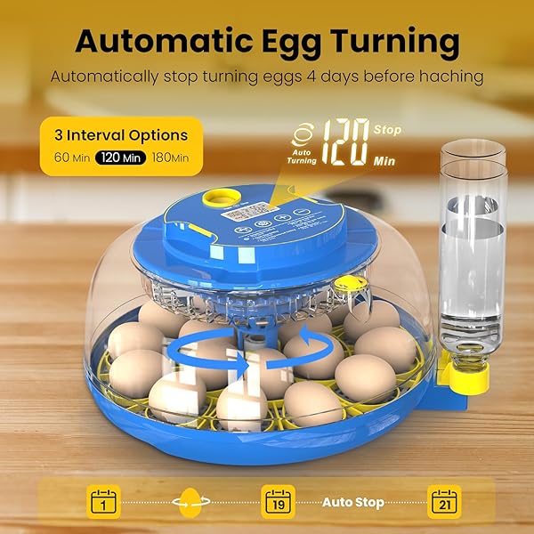 KANAD INCUBATORS FOR HATCHING EGGS, 18 EGG INCUBATOR WITH AUTOMATIC TURNING AND HUMIDITY CONTROL, DUAL TRAYS & AUTO WATER REFILL, 360° VIEW INCUBATOR FOR CHICKEN, DUCK, QUAIL EGGS