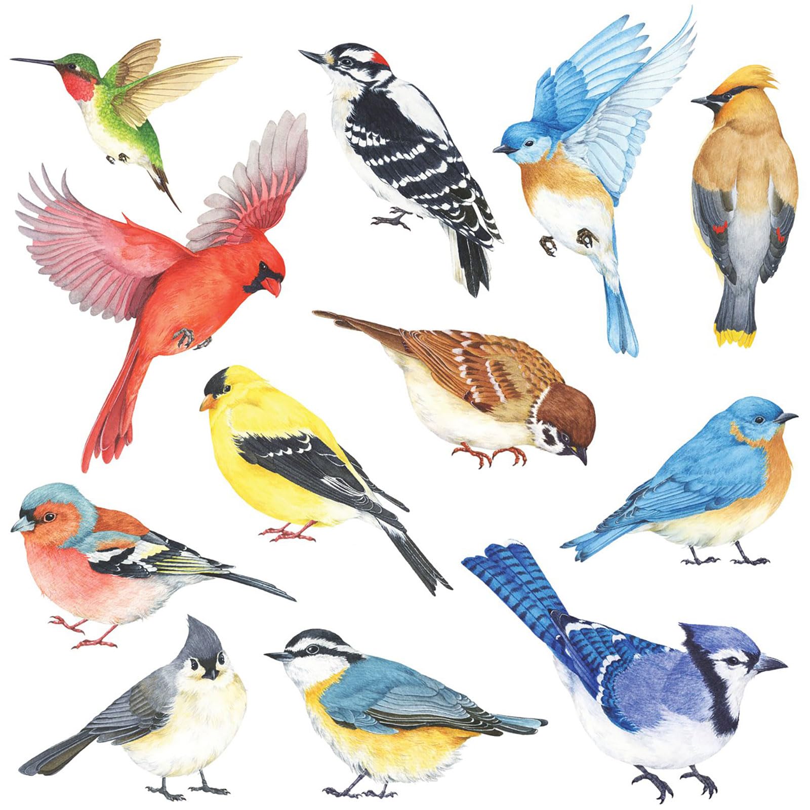 DECOWALL DS2-8042 Little Birds Wall Art Stickers Colourful Flying Birds Wall Decals Removable Garden Decorations Poster Bedroom Kitchen Living Room (Small)