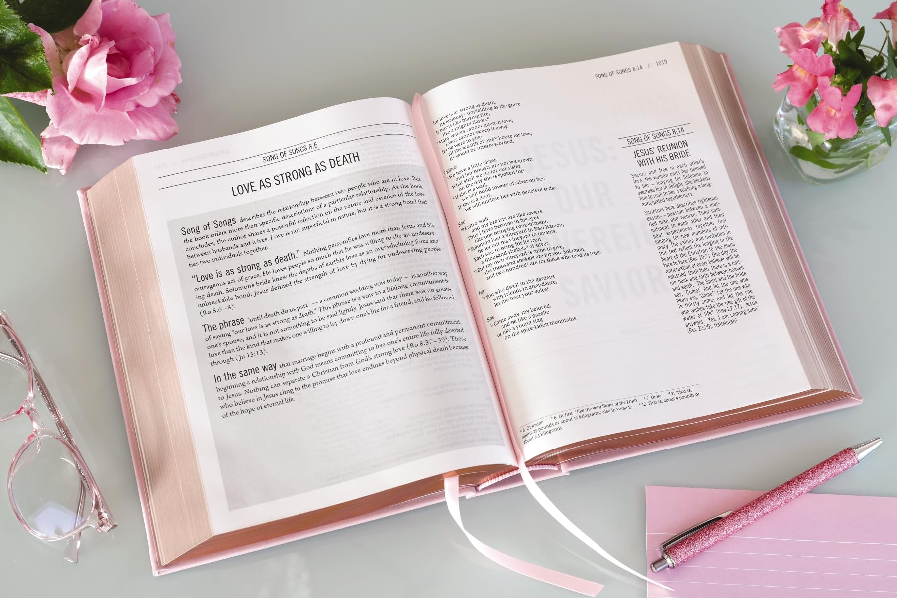 The Jesus Bible, NIV Edition, Leathersoft over Board, Pink, Comfort Print The Jesus Bible, NIV Edition, Leathersoft over Board, Pink, Comfort Print Hardcover