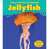 Jellyfish (Heinemann Read and Learn: A Day in the Life: Sea Animals)