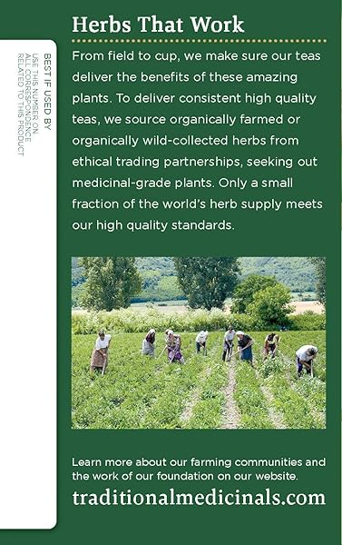 TRADITIONAL MEDICINALS TEA,OG2,TURM W/MDWSWT&GN 16 COUNT (PACK OF 6)