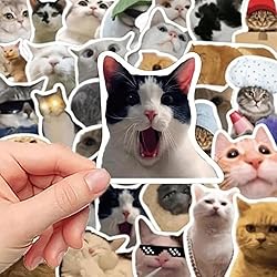 Cat Stickers,Funny Cat Meme, Kawaii for