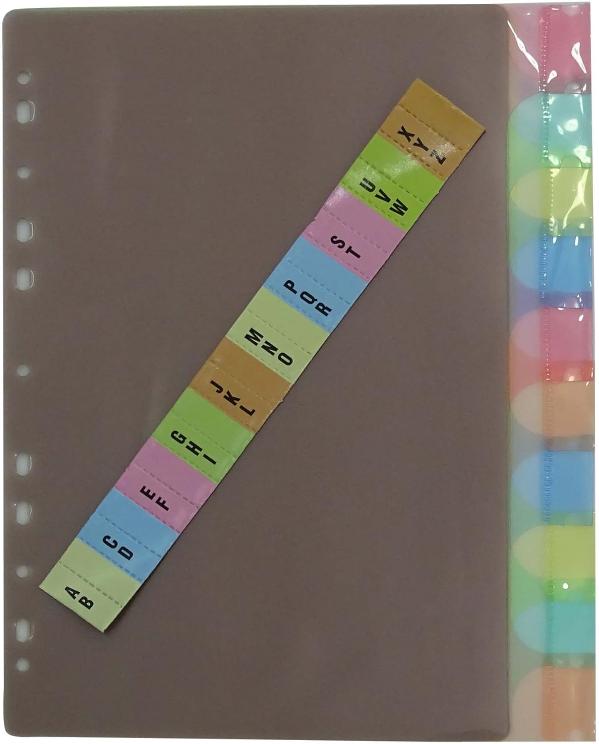 Clear Plastic Separator Survives Longer than Paper Dividers 10Tab Set
