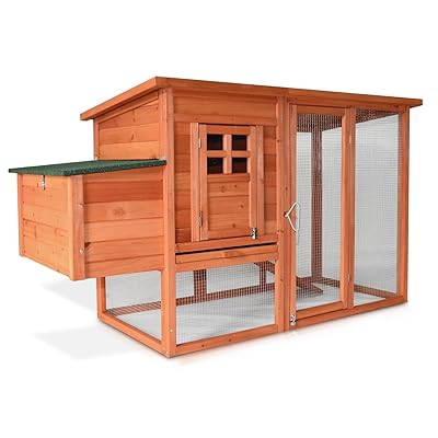 Zooprimus Poulailler En Bois Pour Jardin Extérieure 36 Poulesâ