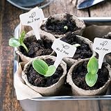 KINGLAKE Plant Labels and Pen 100 Pcs 6x10cm T-Type PVC White Garden Tags view 6