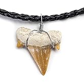KALIFANO Fossilized Shark Tooth Necklace - Authentic Prehistoric Shark Teeth Fossil Pendant on 18" Inch Braided Leather Cord - Great Gift for Men and Boys (Information Card Included)
