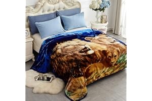 JYK Korean Faux Mink Fleece Blanket 75"x87", 5 LB - 2 Ply Reversible 520GSM Silky Soft Plush Warm Blanket for Autumn Winter (Queen, Lion/Dolphin)