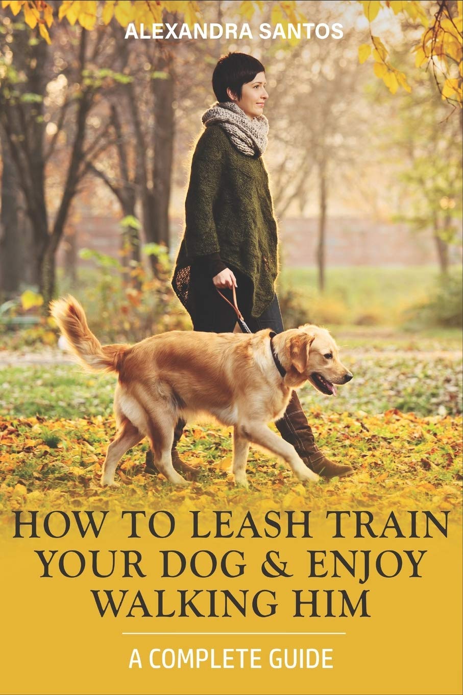 leash train your dog