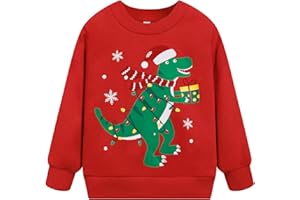 Akyzic Toddler Boys Sweatshirts Cotton Crewneck Truck Shirt Dinosaur Long Sleeve Pullover Tops Tees 2-8T