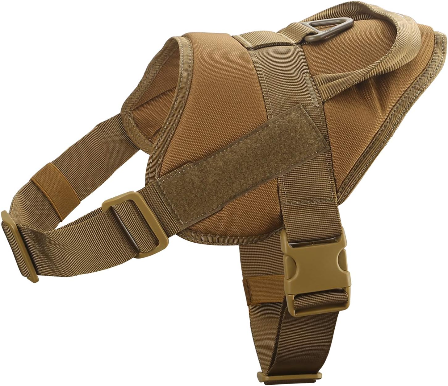 miniature poodle cross golden retriever