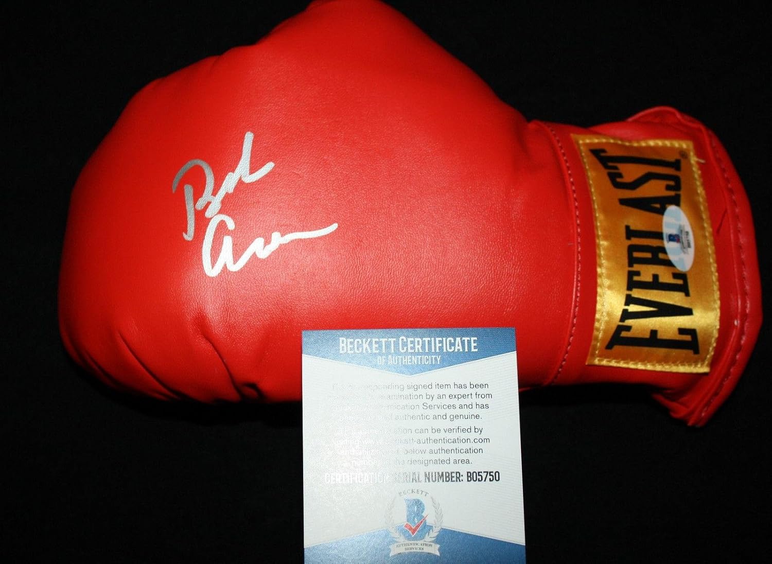 top rank boxing gloves