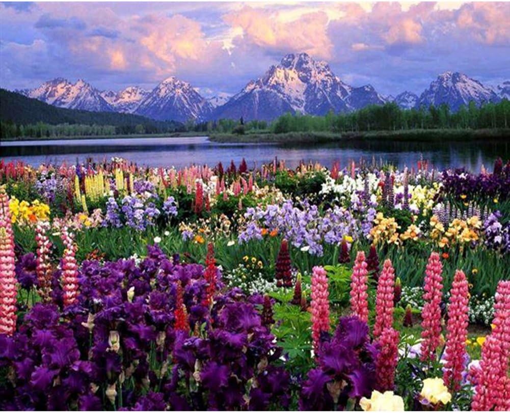 DIY Oil Painting Paint by Numbers Kit with Brushes Paint for Adults Beginner Hand Paintwork Flower Mountain 16x20 inch(No Framed)
