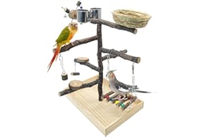 Apatal Bird Playground for Training & Playing Natural Wood Parrot Perch Stand Jungle Gym Chewing Toys with Hanging Ladder & Stainless Feeder Cups Parakeet Cage Playstand for Budgie Cockatiel Conure