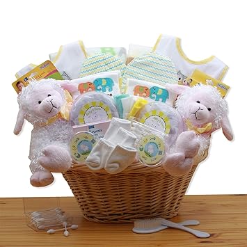 amazon baby gift basket