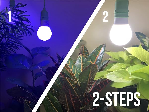 MIRACLE LED PLANT LIFE CYCLE 3-SOCKET SYNCHRONIZED GROW LIGHT KIT WITH 3 BLUE SPECTRUM AND 3 FULL SPECTRUM MULTI-PLANT BULBS WITH SPROUTMATIC TIMER CONTROLS (3 PACK)