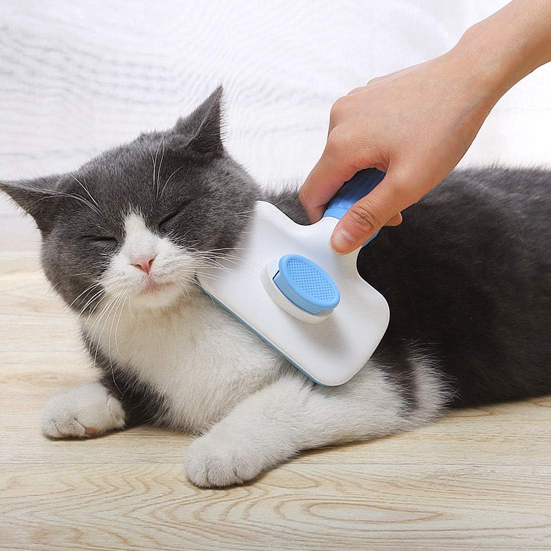 Atlamia Self Cleaning Slicker Brush, Dog Brush & Cat Brush with Massage Particles, Removes Loose Hair & Tangles, Skin Friendly & Promote Circulation-Blue
