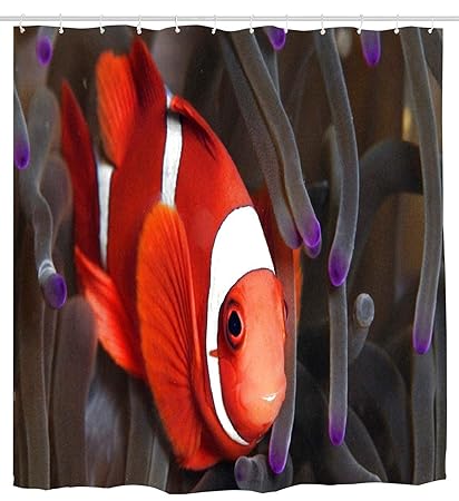Amazon Com Dongingp Clownfish Shower Curtain Waterproof And