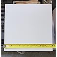 Daltile Ceramic White Tile 12 inchx12 inch(1)