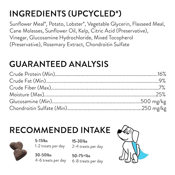 SHAMELESS PETS SOFT-BAKED DOG TREATS, LOBSTER ROLLOVER – NATURAL & HEALTHY DOG CHEWS FOR HIP & JOINT SUPPORT WITH GLUCOSAMINE – DOG BISCUITS BAKED & MADE IN USA, FREE FROM GRAIN, CORN & SOY – 1-PACK