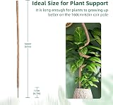 Mcbazel Moss Pole 160CM Bendable Coir Plant Support with Tape & Ties view 5