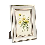 Sapowerntus Vintage 4x6 Picture Frame White