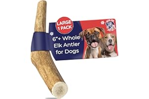 Devil Dog Pet Co. Elk Antlers for Dogs, 1 Pack, Large 6”+, Grade A Long Lasting Dog Bones for Aggressive Chewers, Premium USA Naturally Shed Antler Dog Chew – Healthy, No Odor, Dog Antler Chews