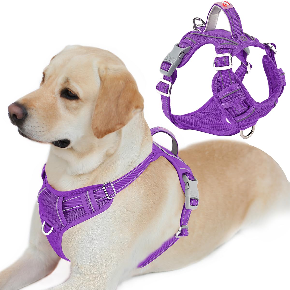 BARKBAY No Pull Dog Harness Front Clip Heavy Duty Reflective Easy Control Handle for Large Dog Walking with ID tag Pocket(Purple,L)