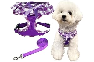 SuperBuddy Upgraded Soft Mesh Dog Harness, Super Breathable Lightweight Pet Harnesses for Puppy Dogs Outdoor Walking, Purple Dog Harness and Dog Leash Set Packing -Small