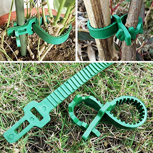 KINGLAKE 5 Pcs Tree Stake Supports Adjustable Tree Plant