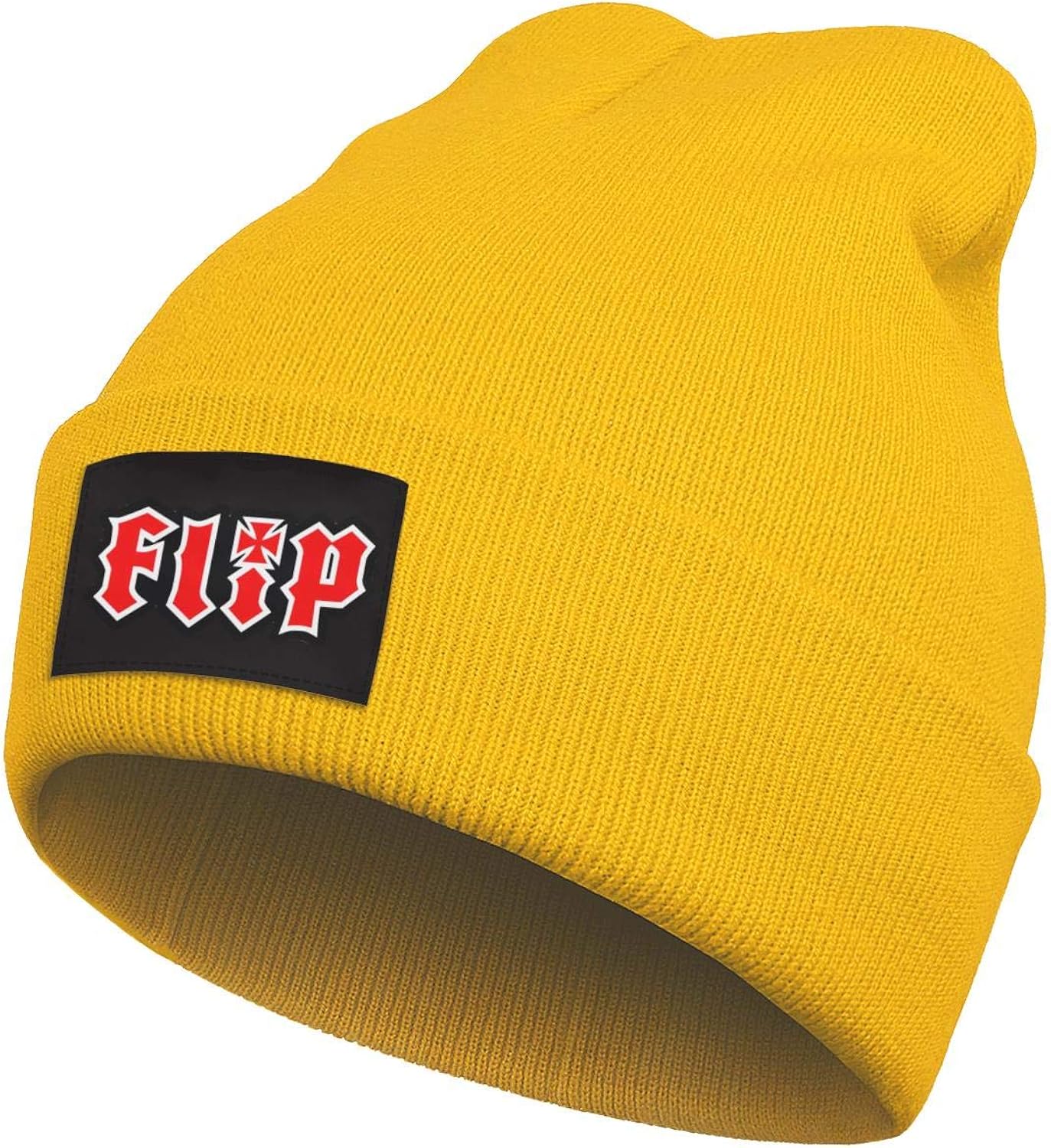 flip skateboards hat