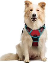 rabbitgoo Dog Harness Medium No Pull Front Back Reflective Adjustable Red Teal