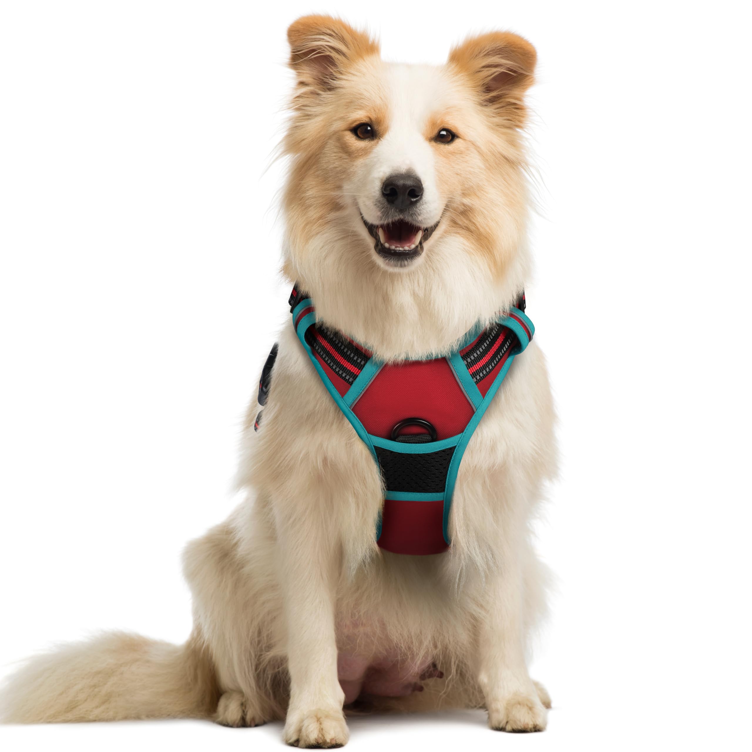 rabbitgoo Dog Harness Medium No Pull Pet Harness with 2 Leash Clips, Adjustable Soft Padded Pet Vest, Reflective No-Choke with Easy Control Handle for Training or Walking, Red Teal, M