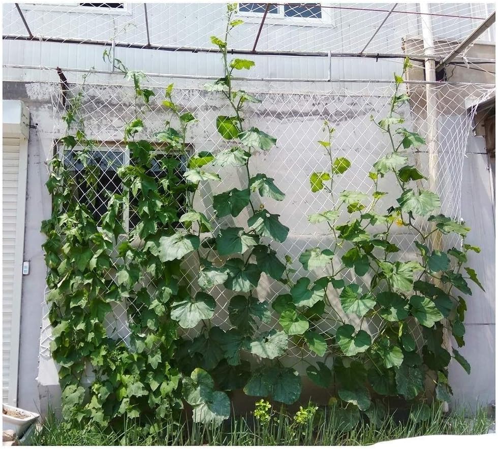 Zgqsw Kindersicherheitsnetz Fussballnetz Aussenschutznetz Volleyballnetz Treppe Balkon Bett Zaun Anti Fall Netz Haustier Zaun Gartenzaun Hangematte Kletternetz Nylonseilnetz Size 1 1m Sidra Hospital