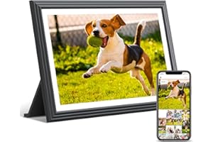 TOLOVE Digital Picture Frame 10.1 Inch-16G WiFi Digital Photo Frame,1280 * 800 HD IPS Touch Screen Smart Cloud Photo Frame, to Share Photos Or Videos Remotely Via APP Email- Android/iOS