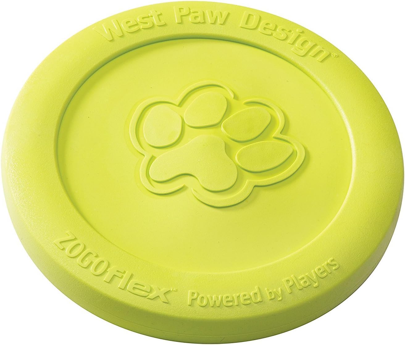 Go Fetch! Top 10 Best Fetch Toys for Your Dog