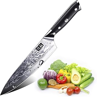 SHAN ZU Damastmesser Kochmesser 67 Schichten Damaststahl Küchenmesser mit G10 Griff 20cm - PRO Series