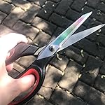 Review Image by Bananas Really