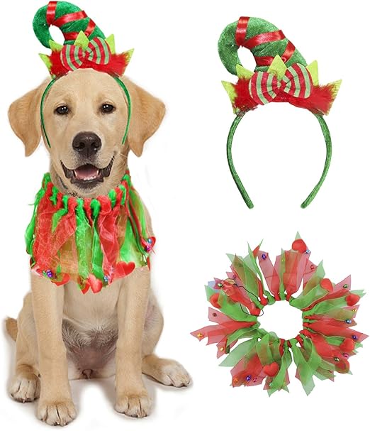 amazon dog christmas