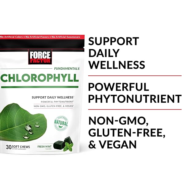 FORCE FACTOR CHLOROPHYLL SOFT CHEWS ANTIOXIDANTS SUPPLEMENT TO REDUCE BODY ODOR, PROMOTE FRESH BREATH, NON-GMO, GLUTEN-FREE, AND VEGAN, FRESH MINT FLAVOR, 30 SOFT CHEWS, GREEN