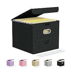 Oterri File Organizer Box,File Box,Small File