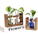 2+1 Plant Terrarium Plant Propagation Station Gifts for Father Halloween Skull Home Office Decor with Wooden Stand