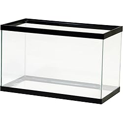 Aqua Culture 10 Gallon Empty Aquarium