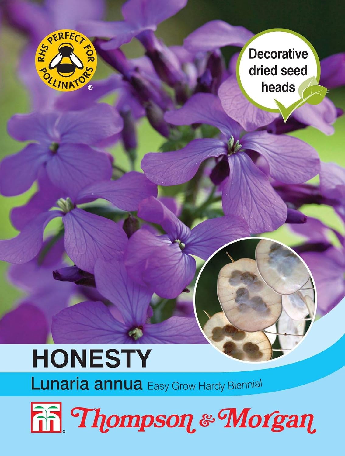Thompson & Morgan - Flowers - Honesty (Lunaria Or Silver Dollar) - 50 Seed
