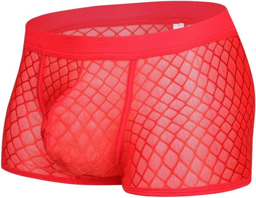 Men's Briefs Soft Mesh Underpants See-Through Underwear
