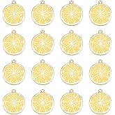 SUNNYCLUE 1 Box 40Pcs Fruit Charms Yellow Lemon Charm Enamel Light Gold Plated Alloy Lemon Slice Flat Round Miniature Lifelike Pendants for Jewelry Making DIY Necklace Earrings Supplies