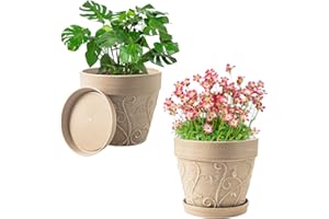Melphoe Plant Pots Indoor with Drainage & Saucer, 2Pack 7 inch Flower Pots Outdoor Planters for Indoor Plants Garden Home Decor Cactus Succulent, Rigid Plastic (Imitation-Terracotta) Vine-Embossed