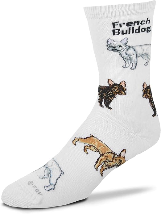 French Bulldog Poses Socks [Medium] Clothing