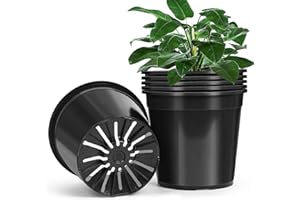 DUNPUTE 6 Pack 3 Gallon Pots for Plants, 3 Gallon Plastic Nursery Pot with Drainage Holes, Sturdy Plastic Plant Pots for Nursery Garden, Flowers, Succulent Outdoor Indoor (Black, 3 Gal- 6 Pack)