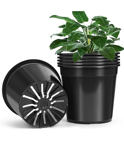 Amazon.com: Thaisan7, Commercial 4 Gallon Nursery Black Plastic Pots Tomato  Flower Herb Plant Container, Hobby Luxury Natural Happy Life Style Home  Garden Improve - 10" Diameter(ID) x 11"(OD) x 12"H (50) :