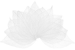 M METERXITY 100-Pack Skeleton Leaves, Natural Rubber Tree Dried Pressed Leaves Vein for Resin/DIY Crafts Card/Scrapbook/Weddi